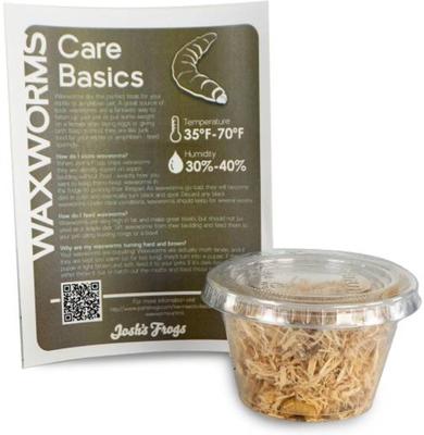 Show full view: Josh's Frogs Fat Tail Gecko Feeder Bundle, Juvenile slide 8 of 10