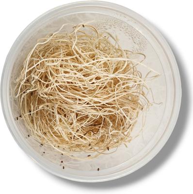 Show full view: Josh's Frogs Freshly Started Wingless Drosophila Melanogaster Fruit Fly Culture Live Feed Reptile Food slide 4 of 11