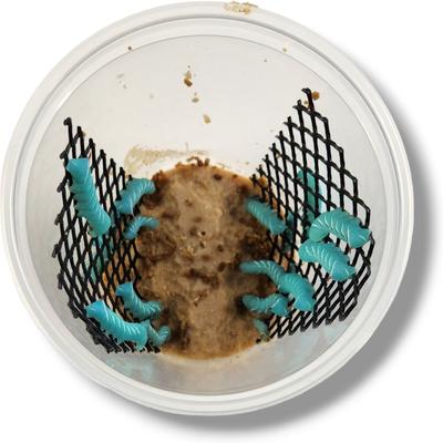 Show full view: Josh's Frogs Hornworm Habitat Live Feed Reptile Food, 12 count slide 4 of 11