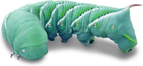 Show full view: Josh's Frogs Hornworm Habitat Live Feed Reptile Food, 12 count slide 7 of 11