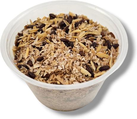 Show full view: Josh's Frogs House Fly Pupae Live Feed Reptile Food, 1000 count slide 5 of 9