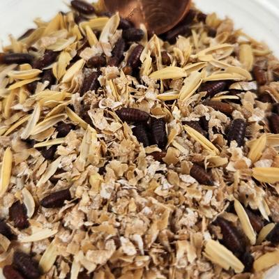 Show full view: Josh's Frogs House Fly Pupae Live Feed Reptile Food, 1000 count slide 6 of 9