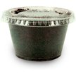 Show in main carousel: Josh's Frogs Leopard Gecko Feeder Bundle, Juvenile slide 6 of 10