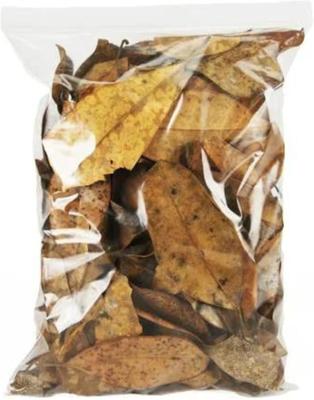 Show full view: Josh's Frogs Magnolia Reptile Leaf Litter, 1-gal bag slide 2 of 9