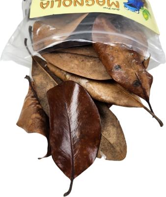 Show full view: Josh's Frogs Magnolia Reptile Leaf Litter, 1-gal bag slide 4 of 9