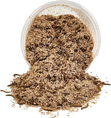 Show full view: Josh's Frogs Mealworms Live Feed Reptile Food, 1100 count slide 4 of 9