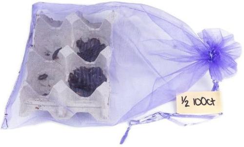 Show full view: Josh's Frogs Medium Orange Head Roaches Live Feed Reptile Food, 1/2 to 3/4-in, 100 count slide 8 of 10