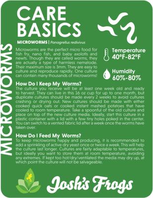 Show full view: Josh's Frogs Microworm Panagrellus Culture, 16-oz slide 2 of 9