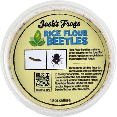 Show full view: Josh's Frogs Rice Flour Beetle Culture Live Feed Reptile Food, 16-oz tub slide 9 of 9
