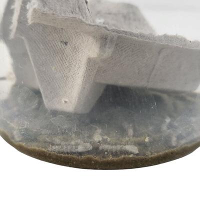 Show full view: Josh's Frogs Silkworms Live Feed Reptile Food, Small, 25 count slide 3 of 10