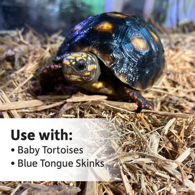 Show full view: Josh's Frogs Super Cypress Reptile Substrate, 10-qt bag slide 9 of 9