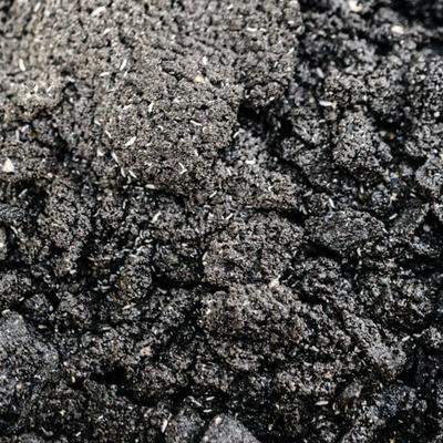 Show full view: Josh's Frogs Temperate Springtail Collembola Culture Live Feed Reptile Food, 32-oz tub slide 4 of 10