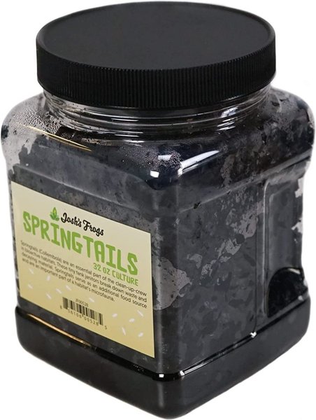 Josh's Frogs Temperate Springtail Collembola Culture Live Feed Reptile Food