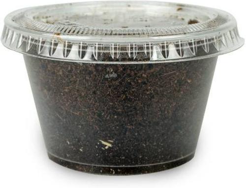 Show full view: Josh's Frogs Tree Frog Feeder Bundle, Adult slide 5 of 9