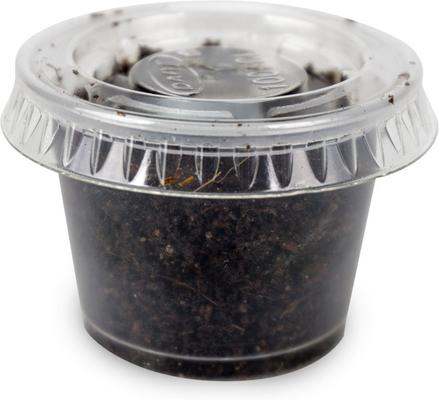 Show full view: Josh's Frogs Tree Frog Feeder Bundle, Baby slide 5 of 9