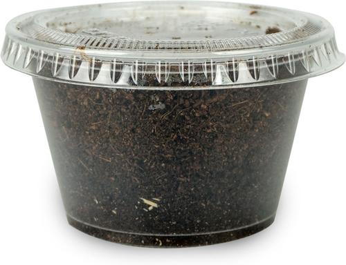 Show full view: Josh's Frogs Tree Frog Feeder Bundle, Juvenile slide 5 of 9