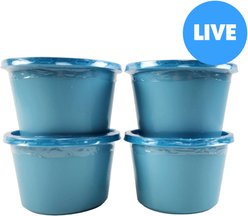 Josh's Frogs Waxworms Live Feed Reptile Food, 1000 count