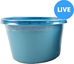 Josh's Frogs Waxworms Live Feed Reptile Food, 250 count