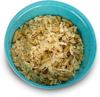 Show full view: Josh's Frogs Waxworms Live Feed Reptile Food, 250 count slide 3 of 10