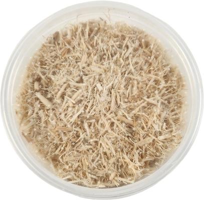 Show full view: Josh's Frogs Waxworms Live Feed Reptile Food, 50 count slide 3 of 10