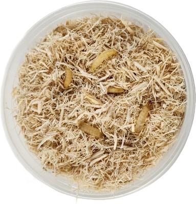 Show full view: Josh's Frogs Waxworms Live Feed Reptile Food, 50 count slide 4 of 10