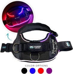 Joyride Harness NightSafe LED Light Up No Pull Dog Harness 2.0, Black Onyx, Small: 17 to 22-in chest