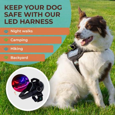 Show full view: Joyride Harness NightSafe LED Light Up No Pull Dog Harness 2.0, Black Onyx, X-Small: 12 to 17-in chest slide 7 of 12