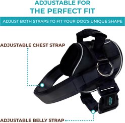 Joyride Harness NightSafe LED Light Up No Pull Dog Harness 2.0, Blue Serenity, Small: 17 to 22-in chest slide 2 of 9