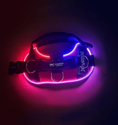 Show full view: Joyride Harness NightSafe LED Light Up No Pull Dog Harness 2.0, Blue Serenity, X-Small: 12 to 17-in chest slide 5 of 12