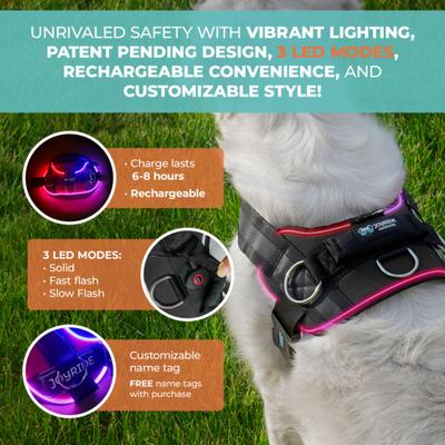 Show full view: Joyride Harness NightSafe LED Light Up No Pull Dog Harness 2.0, Blue Serenity, X-Small: 12 to 17-in chest slide 2 of 12
