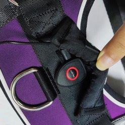 Joyride Harness NightSafe LED Light Up No Pull Dog Harness 2.0, Purple Majesty, Large: 28 to 33-in chest slide 2 of 9