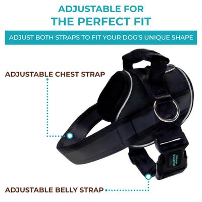 Show full view: Joyride Harness NightSafe LED Light Up No Pull Dog Harness 2.0, Red Rush, Small: 17 to 22-in chest slide 9 of 12