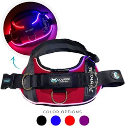 Joyride Harness NightSafe LED Light Up No Pull Dog Harness 2.0, Red Rush, X-Small: 12 to 17-in chest