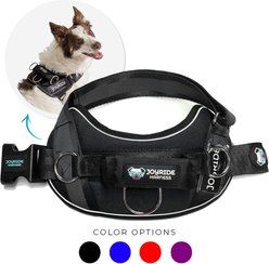 Joyride Harness Premium Advanced No Pull Dog Harness 2.0, Black Onyx, Medium: 23 to 28-in chest