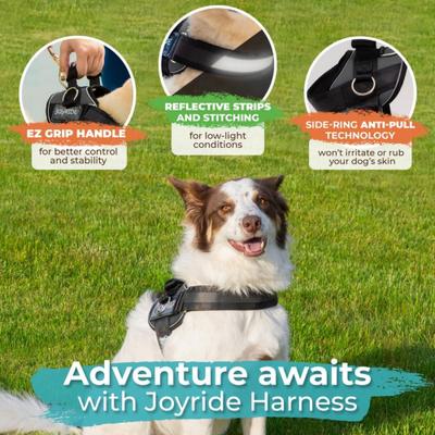 Show full view: Joyride Harness Premium Advanced No Pull Dog Harness 2.0, Black Onyx, Medium: 23 to 28-in chest slide 5 of 13