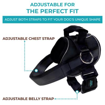Show full view: Joyride Harness Premium Advanced No Pull Dog Harness 2.0, Black Onyx, Medium: 23 to 28-in chest slide 10 of 13