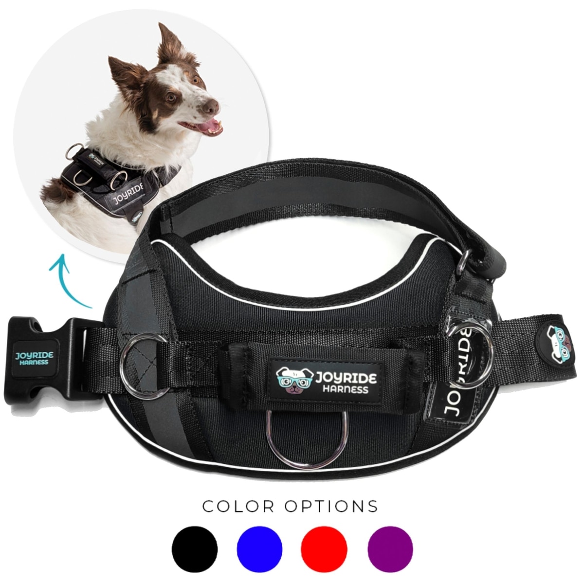 Joyride Harness Biodegradable Dog Poop Bags - 8 Rolls, 120 Bags Total, 9x13", Cornstarch, Leak-Proof, Scented