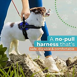 Joyride Harness Premium Advanced No Pull Dog Harness 2.0, Blue Serenity, Medium: 23 to 28-in chest slide 2 of 9