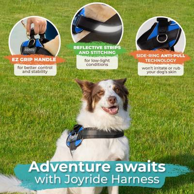 Show full view: Joyride Harness Premium Advanced No Pull Dog Harness 2.0, Blue Serenity, X-Large: 33 to 38-in chest slide 4 of 12