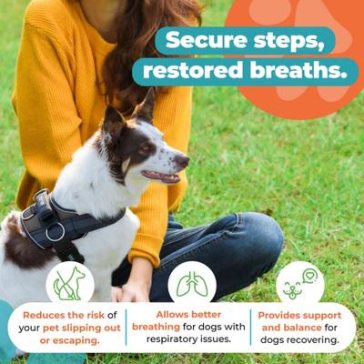 Show full view: Joyride Harness Premium Advanced No Pull Dog Harness 2.0, Blue Serenity, X-Small: 12 to 17-in chest slide 7 of 12