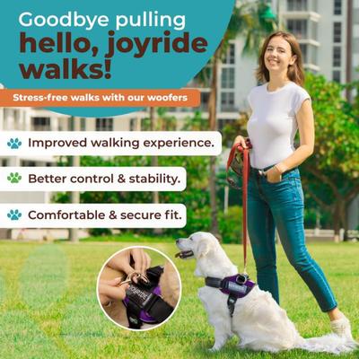 Show full view: Joyride Harness Premium Advanced No Pull Dog Harness 2.0, Purple Majesty, Medium: 23 to 28-in chest slide 6 of 13