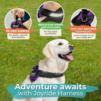 Show full view: Joyride Harness Premium Advanced No Pull Dog Harness 2.0, Purple Majesty, Small: 17 to 22-in chest slide 4 of 12