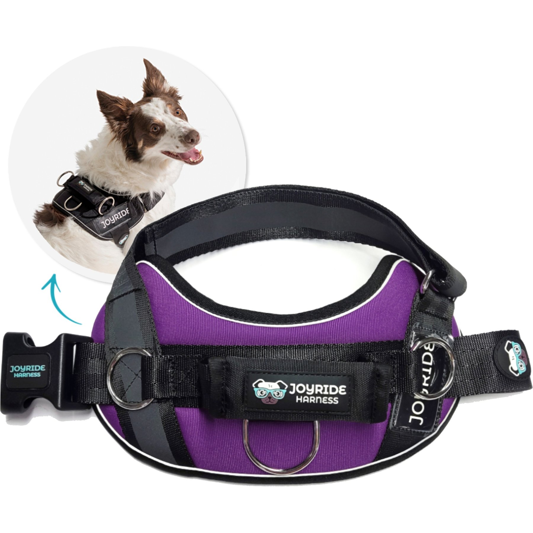 Joyride Harness Premium Advanced No Pull Dog Harness 2.0, Purple Majesty, X-Large: 33 to 38-in chest