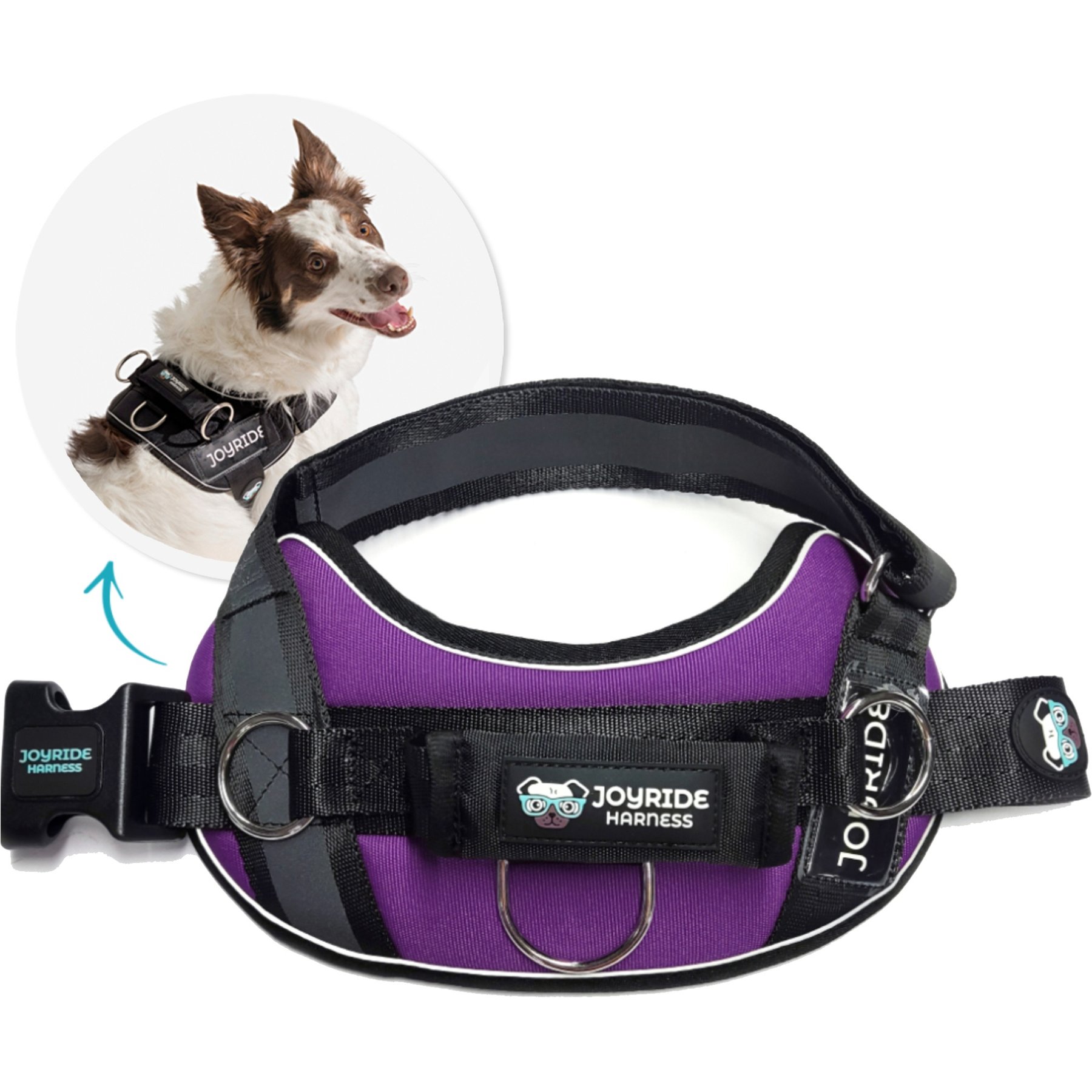 Joyride Harness Premium Advanced No Pull Dog Harness 2.0, Purple Majesty, X-Small: 12 to 17-in chest