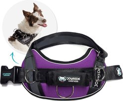 Joyride Harness Premium Advanced No Pull Dog Harness 2.0, Purple Majesty, XX-Large: 38 to 44-in chest