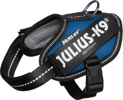 Julius-K9 IDC Powerair Dog Harness, Blue, Baby 2: 13 to 17.5-in chest