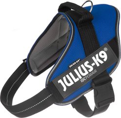 Julius-K9 IDC Powerair Dog Harness, Blue, Size 2: 28 to 37.5-in chest