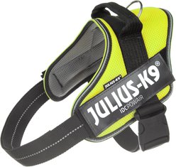 Julius-K9 IDC Powerair Dog Harness, Neon, Size 1: 26 to 33.5-in chest