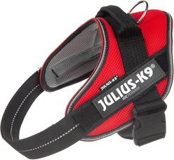 Julius-K9 IDC Powerair Dog Harness, Red, Size 0: 22.8 to 30-in chest