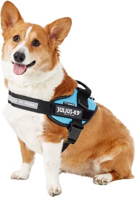 Show full view: Julius-K9 IDC Powerharness Nylon Reflective No Pull Dog Harness, Aquamarine, Size 0: 22.8 to 30-in chest slide 3 of 12